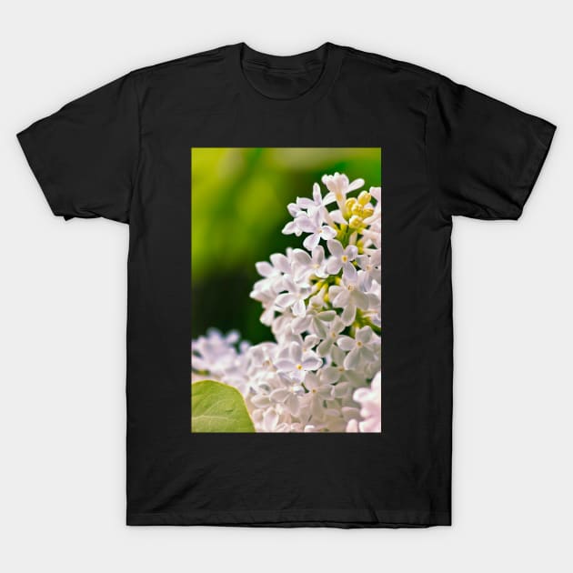 White Lilac Flowers T-Shirt by InspiraImage